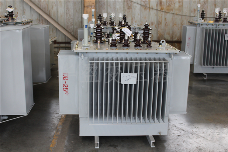 盐城S20-800kVA/10kV/0.4kV变压器